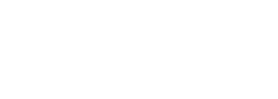 NETIS VEF萻i